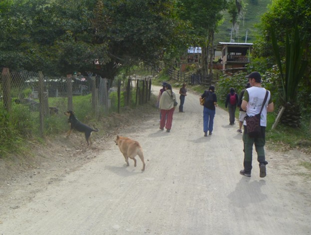 Me Echaron Los Perros en el Camino