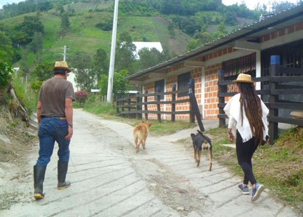 La Familia Tradicional